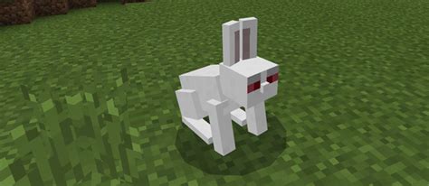 Killer Bunny Add On Minecraft Pe Mods And Addons