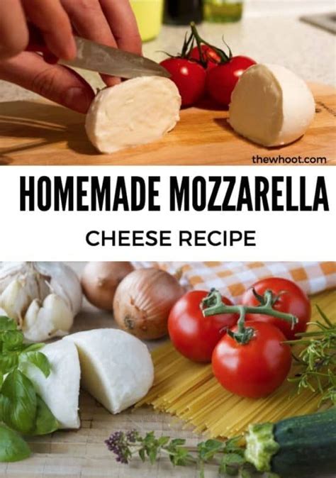 How To Make Mozzarella Cheese At Home The Whoot Make Mozzarella