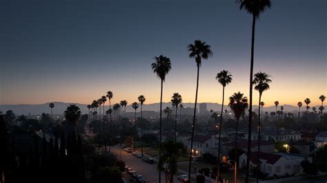 Sky Sunset Los Angeles Palm Trees Cityscape Wallpapers