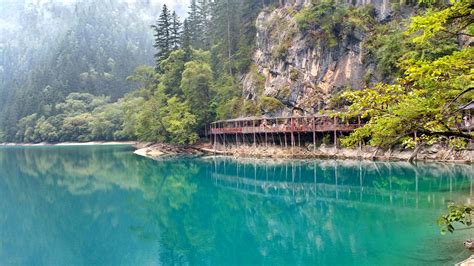 Panda Lake Like Paradise One Of The Best Shot In Jiuzhaigou In China