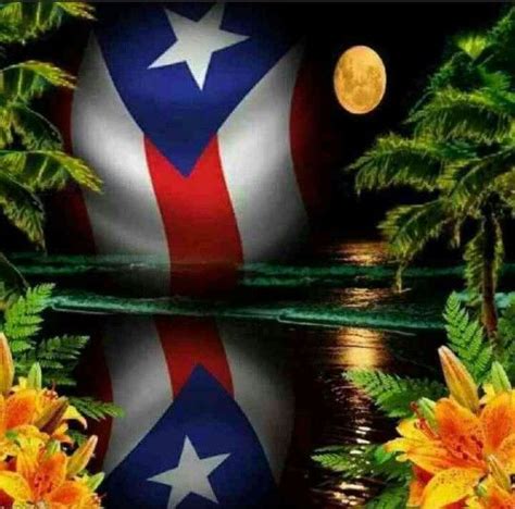Buenas Noche Mi Bello Puerto Rico Puerto Rico Map Puerto Rico Island