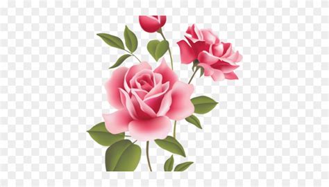 Lihat ide lainnya tentang bingkai bunga, bunga, bingkai. Pink Rose Clipart Bunga Mawar - Pink Floral Pattern Png ...