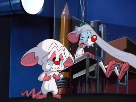 pinky and the brain brain s song tv episode 1996 imdb