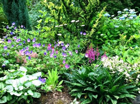 A shady spot in your landscape offers the opportunity to grow some wonderful, unique plant selections that not only tolerate shade but actually prefer it. flower bed ideas for shade perennial garden design nice ...
