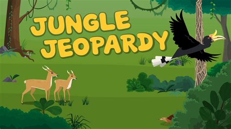 Plum Landing Jungle Jeopardy An Ecosystem Game