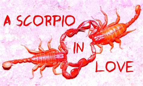 How A Scorpio Man In Love Behaves Pairedlife