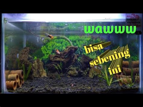 Cara membersihkan akuarium yang berkerak. CARA MEMBERSIHKAN AQUARIUM/AQUASCAPE TANPA RIBET - YouTube