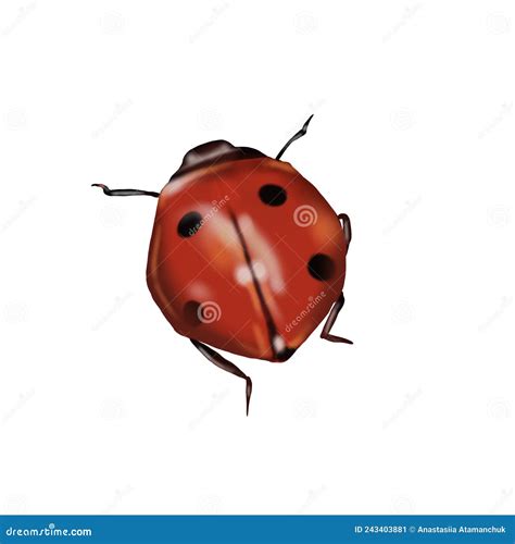 Watercolor Ladybug Realistic Illustration On A White Background Stock