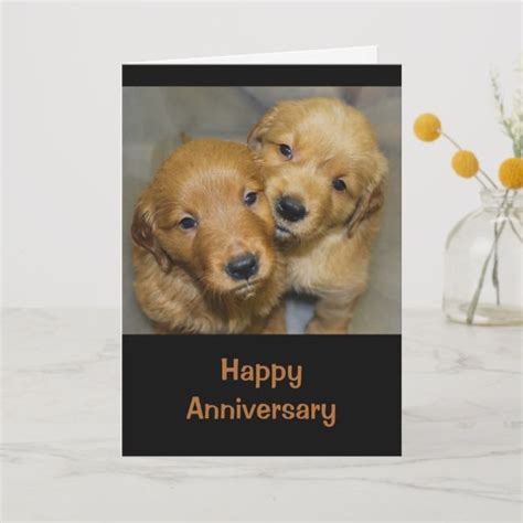 Happy Anniversary To A Dog Gone Cute Couple Card Happy