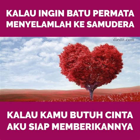 Kasih sayang yang sejati, membawamu bahagia hingga nanti. 285 Pantun Cinta Romantis Buat Gombal ~ diedit.com