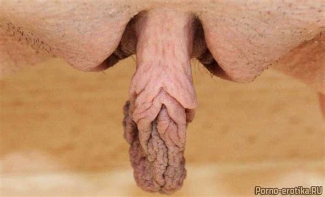 Самые большие половые губы Фото голых писек
