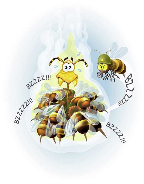 Japanese Honey Bee Thermal Defence Photograph By Jose Antonio Penas