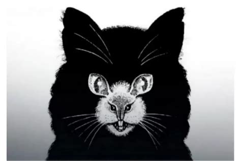 Tes Kepribadian Kucing Atau Tikus Yang Pertama Dilihat Dalam Gambar