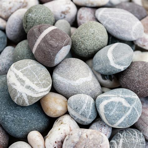 Beach Pebbles Close Up Photograph By Elena Elisseeva Pixels
