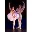 Ballet Students Progress To Company  News Straight