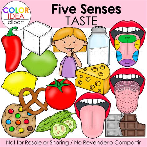 Five Senses Taste Made By Teachers