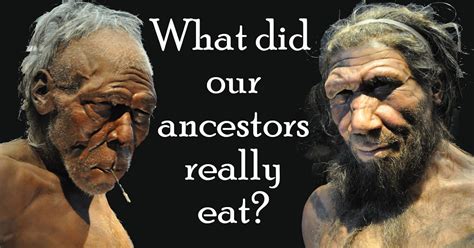 What Did Our Ancestors Eat The Case For Paleo