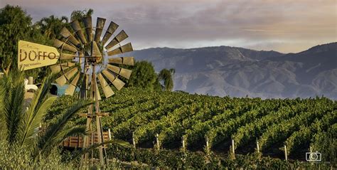 7 Temecula Wineries To Add To Your Must Sip List Carpe Travel
