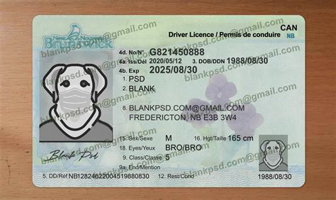 New Brunswick Drivers License Template New V1 Blank Psd