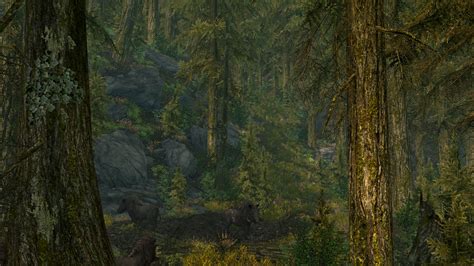 New Forest Pics Image Demented Evil Mod For Elder Scrolls V Skyrim