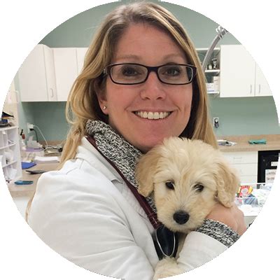 307 mill st, mount pleasant, sc, 29464. Learn More About Park West Vet | Veterinarians | Mount ...