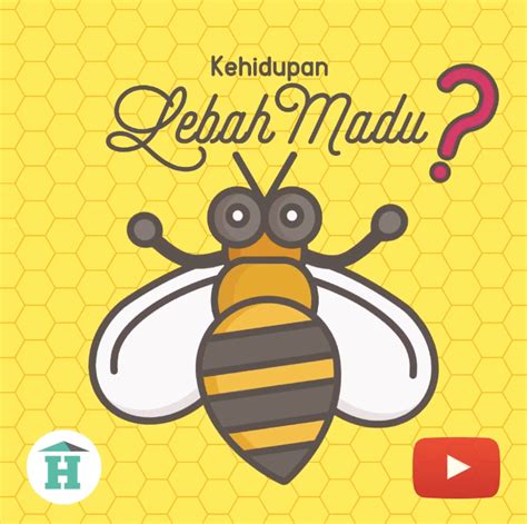 Infografis Animasi Kehidupan Lebah Madu Dan Koloninya By Ratih