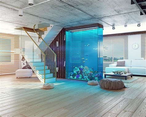 How To Properly Set Up An Aquarium In Your House 10 Steps Home
