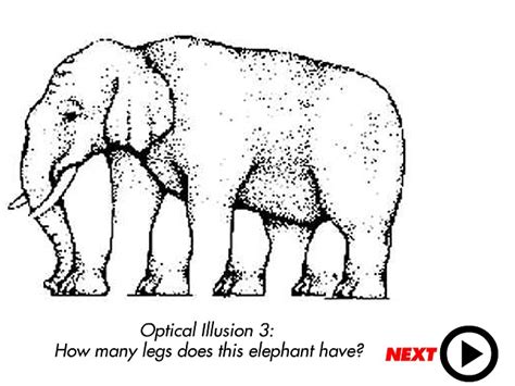 19 Best Images About Brain Teasers And Optical Illusions On