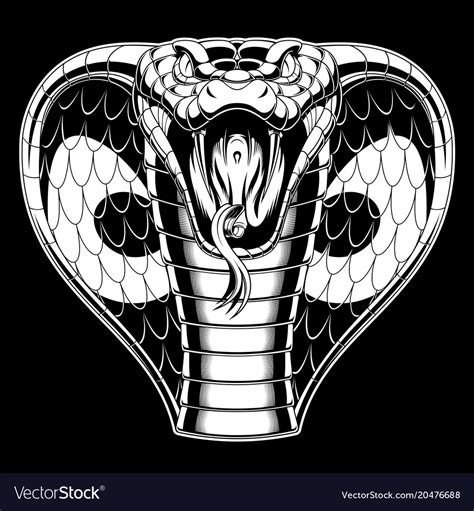 Evil Cobra Is Attacking Royalty Free Vector Image