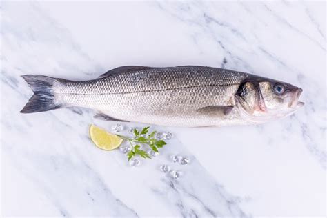 Buy Fresh Sea Bass Online Fresh Sustainable Sea Bass Free Next Day Uk Delivery The Cornish