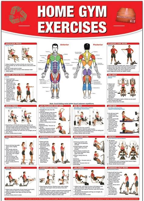 Home Gym Exercises Gym Workout Chart Workout Posters