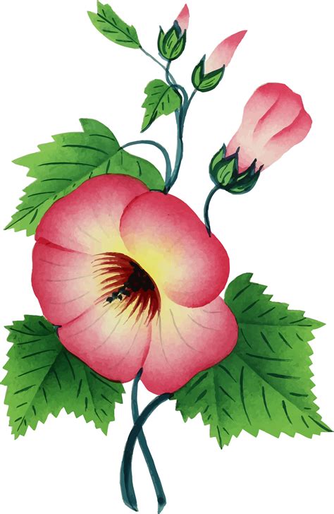 Clipart Flower Illustration Clipart Flower Illustration Transparent