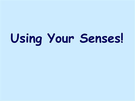 Ppt Using Your Senses Powerpoint Presentation Free Download Id729854