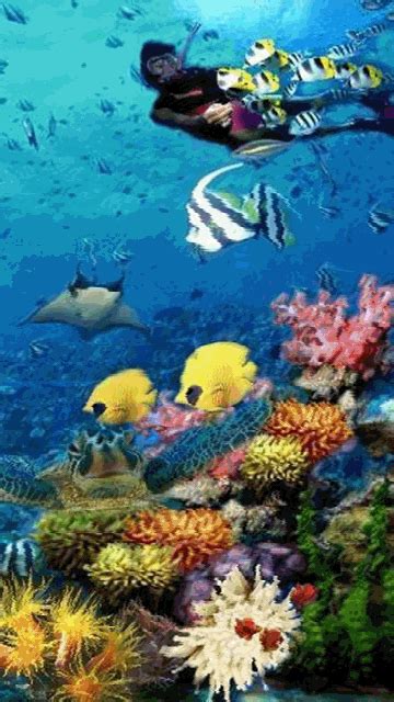 48 Animated Underwater Wallpaper