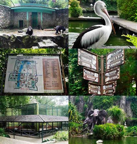 Wisata Kebun Binatang Ragunan Di Jakarta Cinta Indonesia