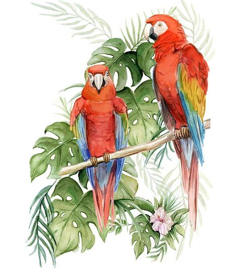 Mural Of Parrots Wallpaper Tropical Flowers Floral Wallpaper Parrots In