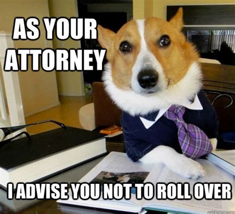 You Wont Object To These Lawyer Memes Lawyers Memes