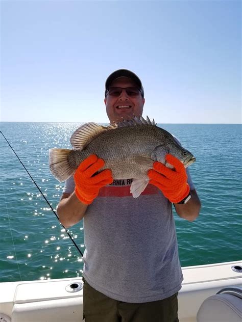 Wondering where to go for the best fish tacos in san diego? SW Florida Tripletail. Love sight fishing these guys off ...