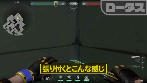 【valorant】ロータス×キルジョイ サイト全域鳥かご状態！逃げ場所0のロックダウン【022】 Valorant Pick