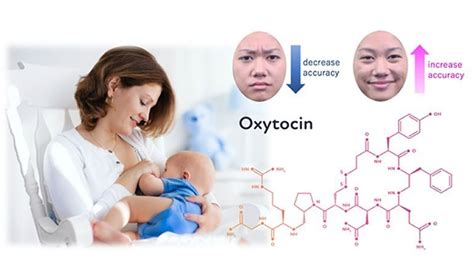 oxytocin uses side effects implications and more