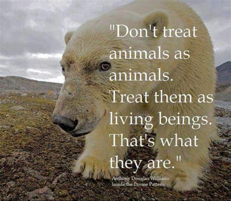 Pin By Erick ރhə 1sރ On ℒℴѵℯ Ya Makayla ♡ Animal Quotes Save Animals