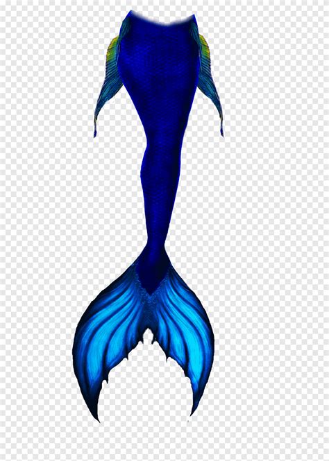 Blue Mermaid Tail Mermaid Tail Drawing Sketch Mermaid Tail Legendary
