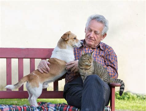 How To Keep Seniors And Their Pets A Part Of Our Community Blue