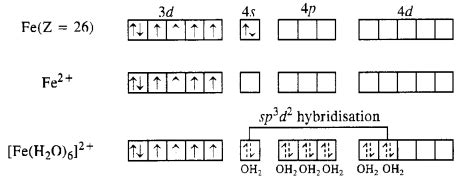 Ncert Solutions For Class Chemistry Chapter D And F Block Elements