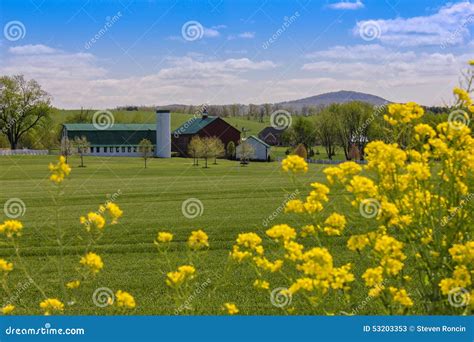 Springtime On The Farm Stock Image Image Of Grass Barn 53203353