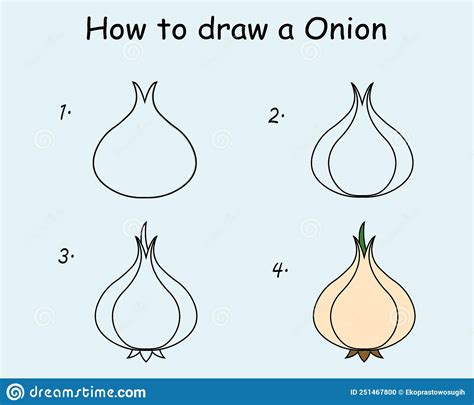 Step By Step To Draw An Onion Drawing Tutorial An Onion Drawing