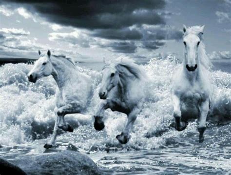 Horses Running Out Of The Ocean On Crashing Waves Horse Art Horses