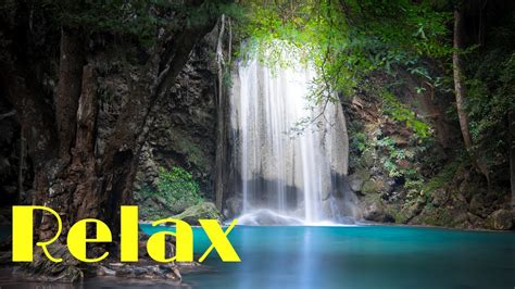 Waterfall Jungle Sounds Relaxing Tropical Rainforest Nature Sound
