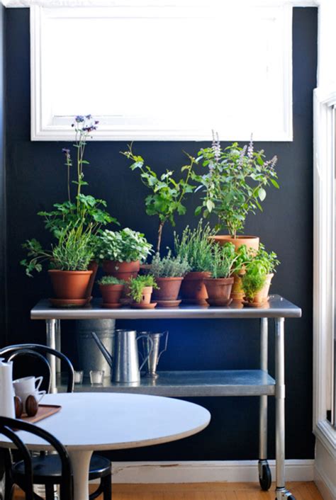We tested this indoor herb garden at the office and now it's our favorite coworker. 20 Indoor Herb Garden Ideas | HomeMydesign