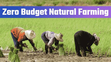 Zero Budget Natural Farming Agri Books